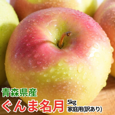 【ふるさと納税】【12月出荷予定】平均糖度13度以上! ぐんま名月 約5kg 訳あり【配送不可地域：離島・沖縄県】【1668014】