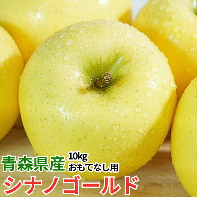 【ふるさと納税】【12月出荷予定】平均糖度13度以上! シナノゴールド 約10kg おもてなし用【配送不可地域：離島・沖縄県】【1668071】