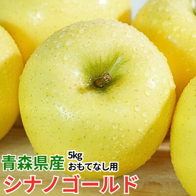 【ふるさと納税】【12月出荷予定】平均糖度13度以上! シナノゴールド 約5kg おもてなし用【配送不可地域：離島・沖縄県】【1668087】