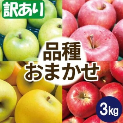 【ふるさと納税】【12月～翌年3月出荷予定】りんご 品種おまかせ 約3kg 訳あり【配送不可地域：離島・沖縄県】【1668106】