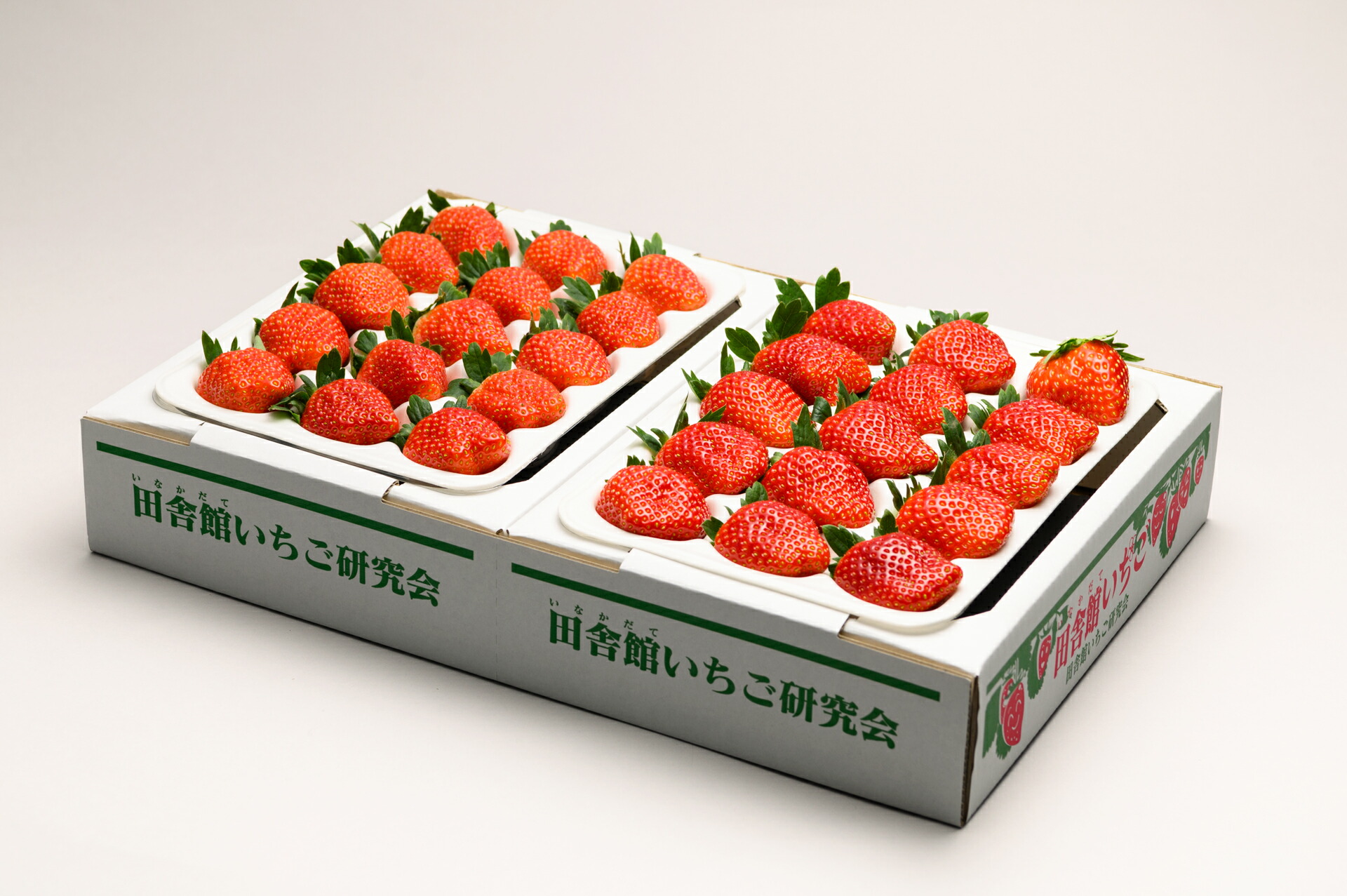 【ふるさと納税】田舎館村産いちご とちおとめ【大粒】 贈答用【21C1008】