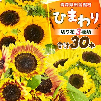 【ふるさと納税】【2026年発送】ひまわり(切り花3種類)合計30本【配送不可地域：離島】【1677537】