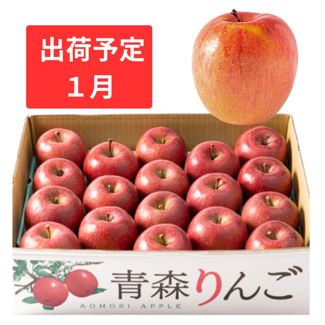 【ふるさと納税】1月  家庭用濃厚サンふじ約5kg　糖度13度以上【訳あり】青森津軽りんご 果物類 林檎 リンゴ 　お届け：2026年1月6日～2026年1月30日