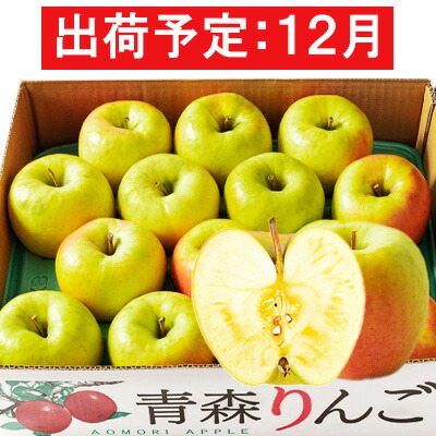 【ふるさと納税】12月  贈答規格 ぐんま名月約5kg　糖度13度以上【青森りんご・マルコウアップル】 果物類 果物 フルーツ 幻のりんご ジューシー 　お届け：2025年12月1日～2025年12月31日