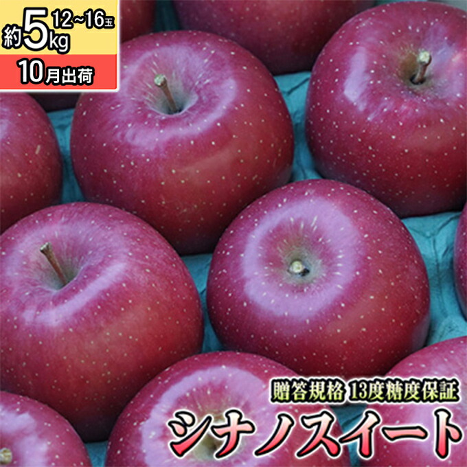 【ふるさと納税】10月 贈答規格 シナノスイート約5kg（12～16個）13度糖度保証【青森りんご・ゆうきアップル・10月】 果物類 果物 フルーツ ジューシー 甘い 　お届け：2026年10月20日～2026年11月20日