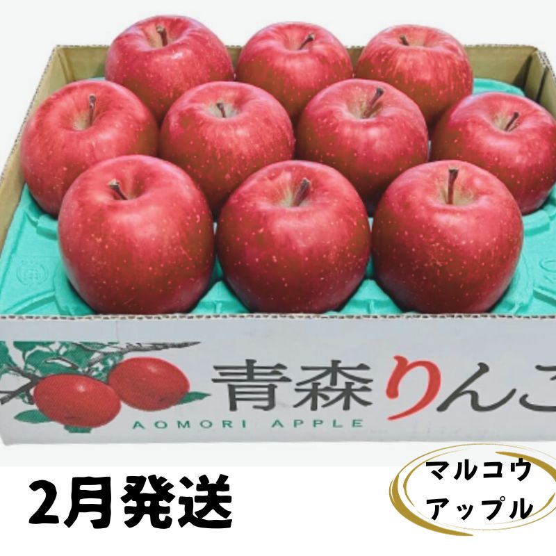 【ふるさと納税】【2月発送】訳あり 家庭用 濃厚サンふじ 約3kg 糖度13度以上【青森りんご・マルコウアップル】 リンゴ 林檎 フルーツ 果物 訳アリ 　お届け：2026年2月上旬～