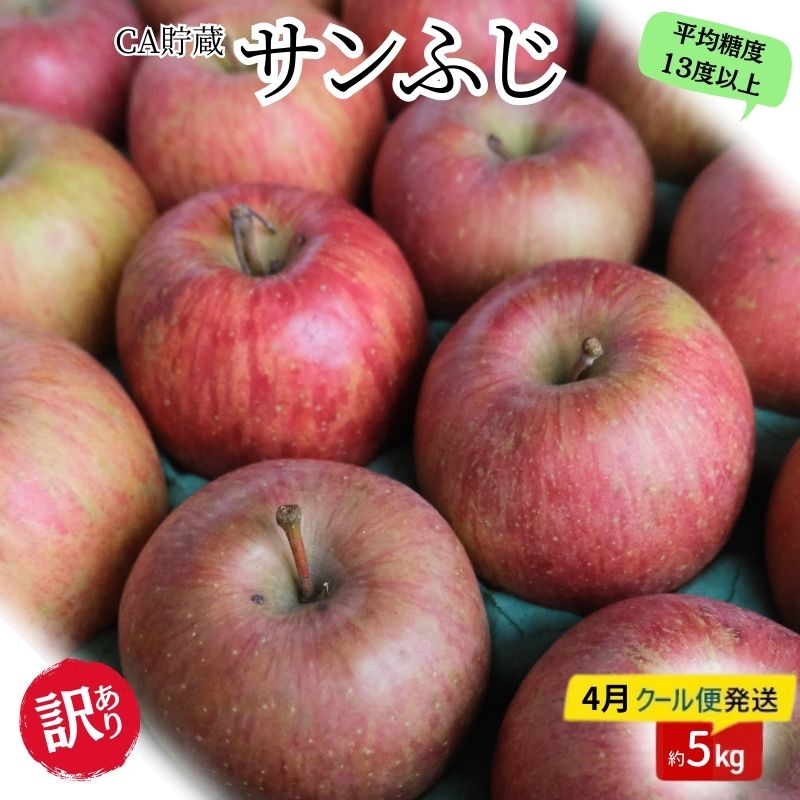 【ふるさと納税】りんご 【4月クール便発送】 平均糖度13度以上 訳あり品 家庭用 CA貯蔵 サンふじ 約 5kg 【 青森りんご 】 果物類 林檎 リンゴ フルーツ　お届け：2027年4月中