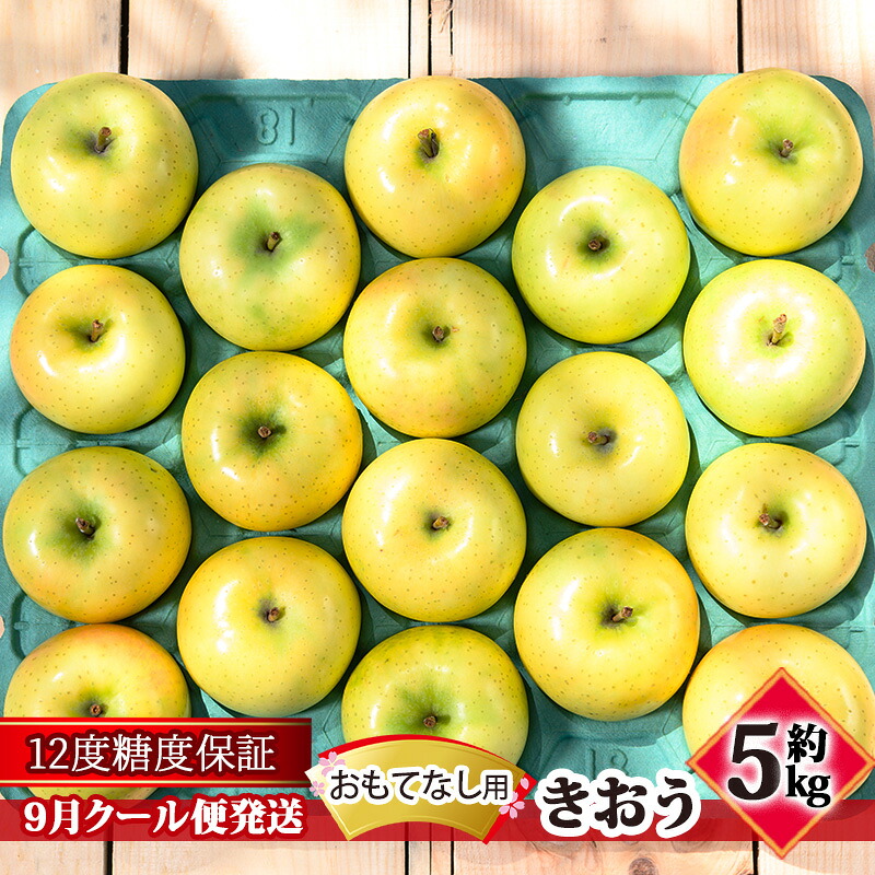 【ふるさと納税】【9月クール便発送】（12度糖度保証）おもてなし用 家庭用 きおう約5kg【 青森りんご 果物類 林檎 リンゴ 青森県産 フルーツ 旬の果物 産地直送 】　お届け：2026年9月中