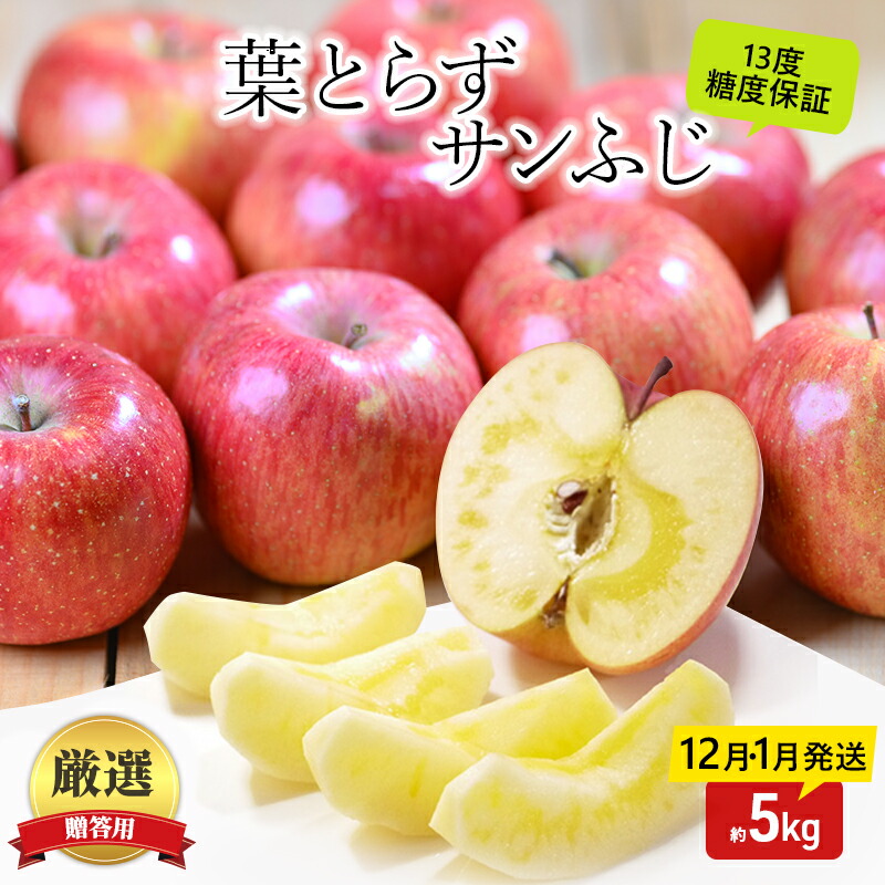 【ふるさと納税】りんご 【12月・1月発送】 蜜入り 糖度13度以上 おもてなし用 家庭用 葉とらず サンふじ 約 5kg 【 青森りんご 】 果物 フルーツ 産地直送 贈り物 年末 年始 挨拶 お届け:2026年12月上旬~2027年1月末