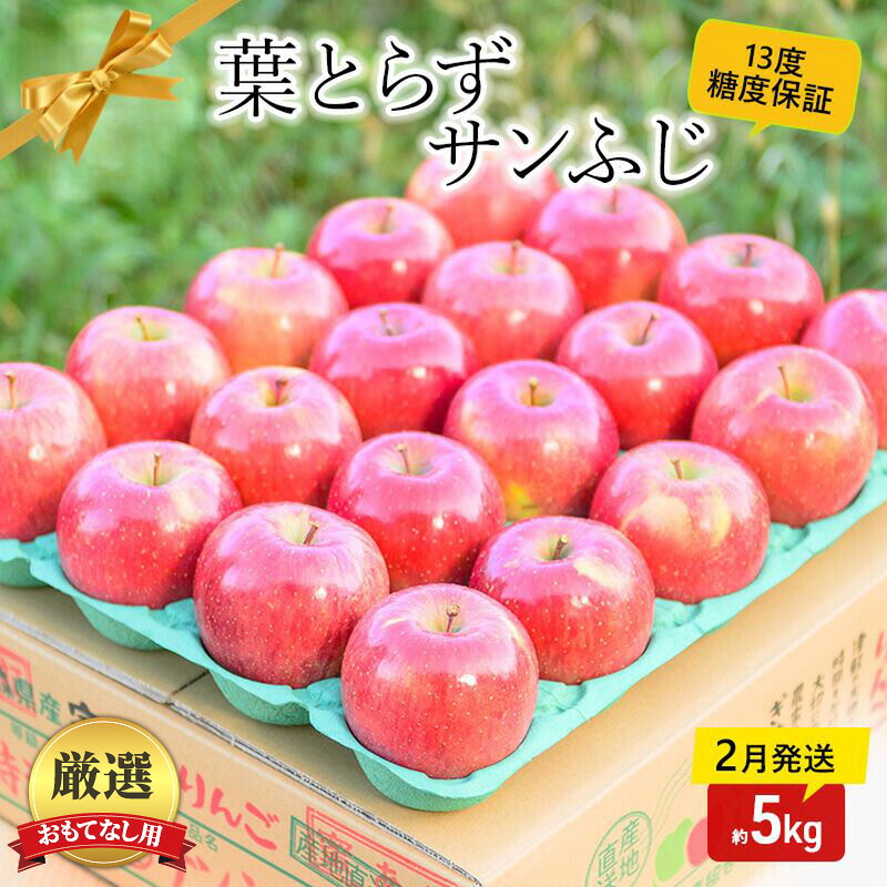 【ふるさと納税】【 2月発送 】 糖度13度以上 おもてなし用 家庭用 葉とらず サンふじ 約 5kg 【 青森りんご 】 果物 フルーツ デザート 食後 青森県産 産地直送　お届け：2027年2月中｜青森県板柳町