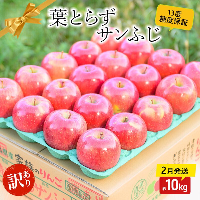 【ふるさと納税】【 2月発送 】 糖度13度以上 訳あり品 家庭用 葉とらず サンふじ 約 10kg 【 青森りんご 】 果物 フルーツ デザート 食後 青森県産 産地直送　お届け：2027年2月中