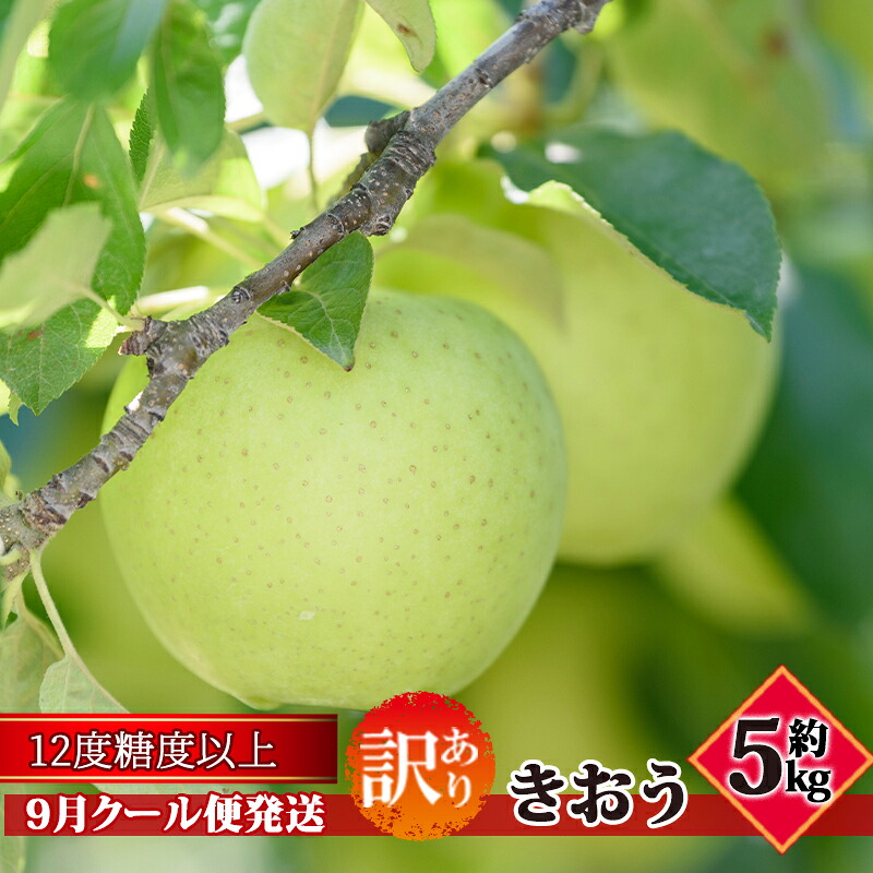 【ふるさと納税】【9月クール便発送】（糖度12度以上）訳あり品 家庭用 きおう約5kg【 青森りんご】　お届け：2026年9月中｜青森県板柳町 9,940円