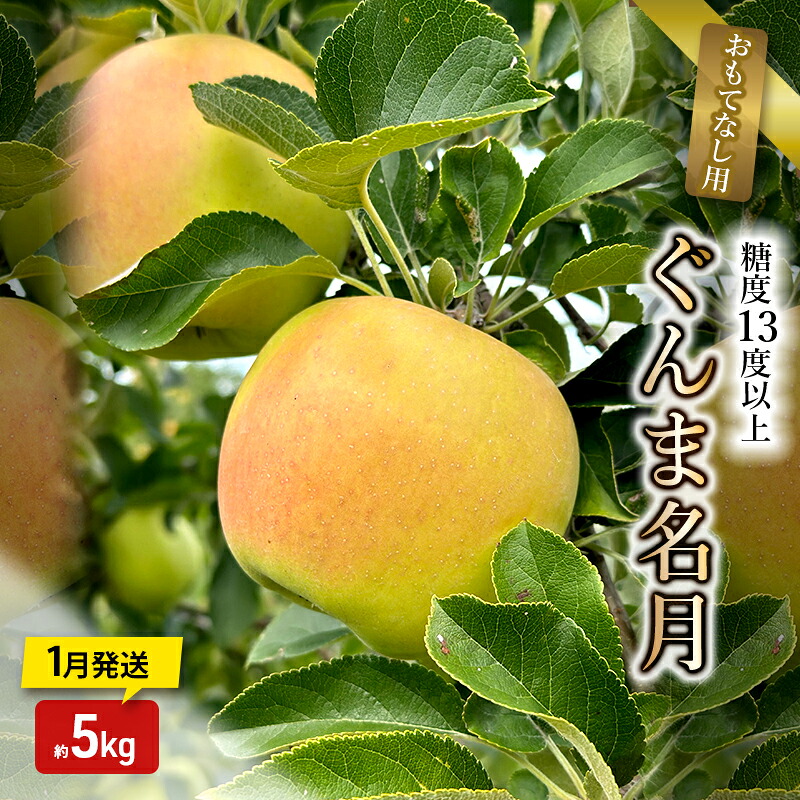 【ふるさと納税】りんご【1月発送】糖度13度以上 ぐんま名月 おもてなし用 家庭用 約5kg【青森りんご】　お届け：2027年1月中