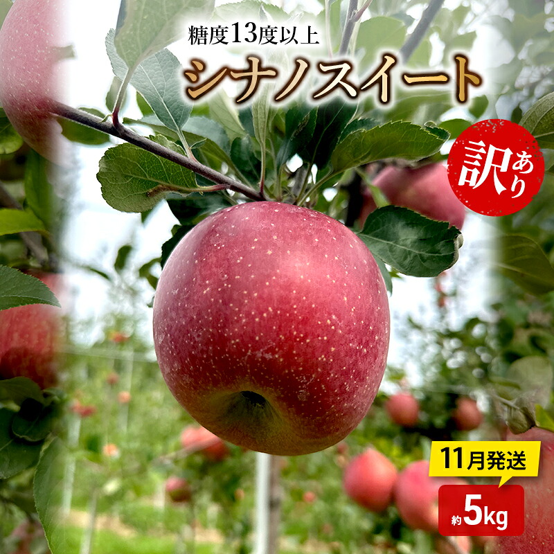 【ふるさと納税】りんご【11月発送】糖度13度以上 訳あり品 家庭用 シナノスイート 約5kg【青森りんご】　お届け：2026年11月中｜青森県板柳町
