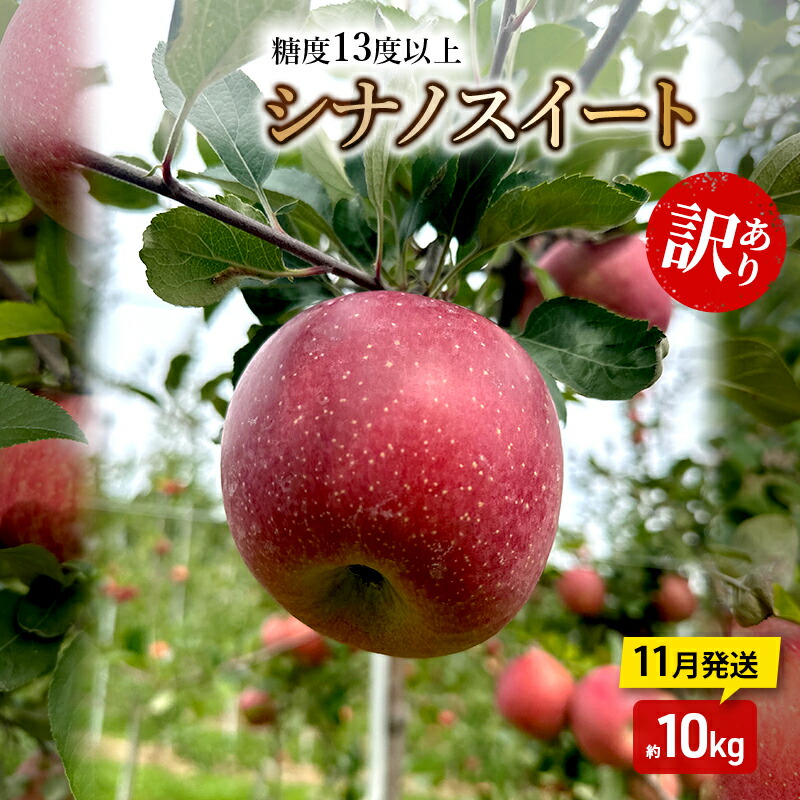 【ふるさと納税】りんご【11月発送】糖度13度以上 訳あり品 家庭用 シナノスイート 約10kg【青森りんご】　お届け：2026年11月中