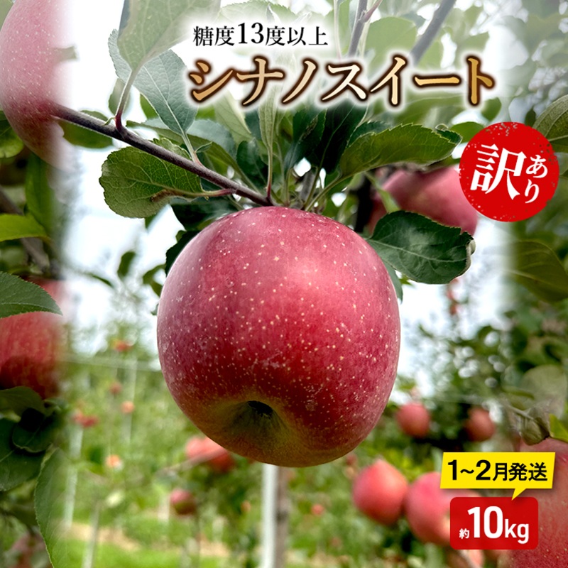 【ふるさと納税】りんご【1月～2月順次発送】糖度13度以上 訳あり品 家庭用 シナノスイート 約10kg【青森りんご】　お届け：2027年1月上旬～2027年2月末