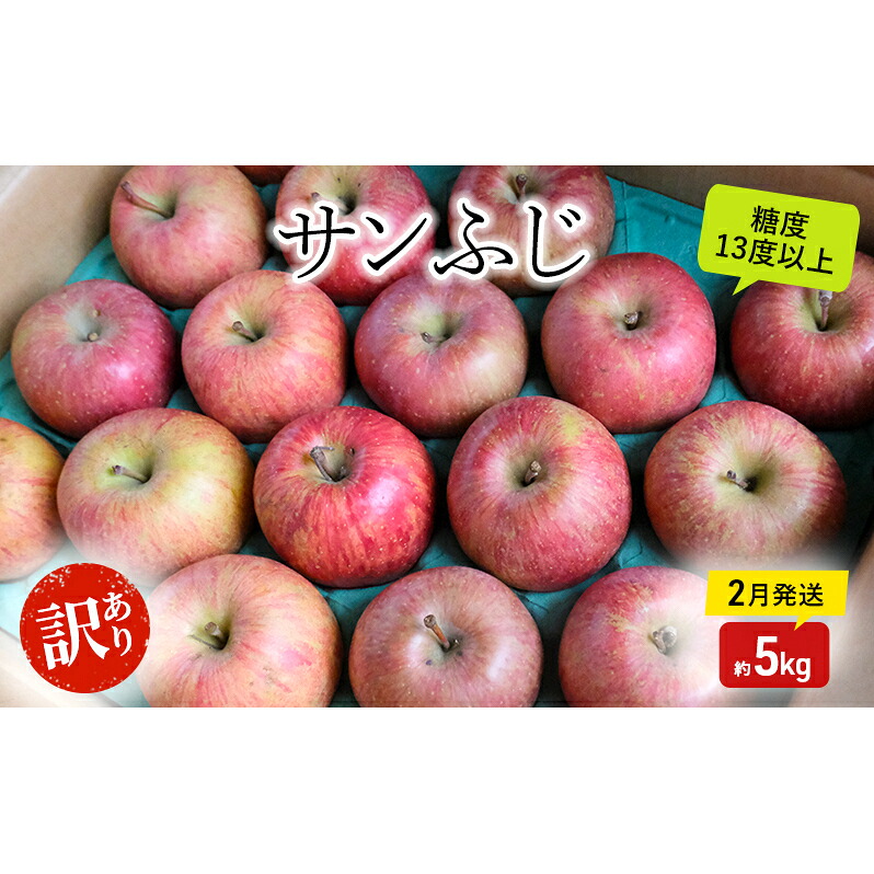 【ふるさと納税】りんご【2月発送】糖度13度以上 訳あり品 家庭用 サンふじ 約5kg【青森りんご】果物類 フルーツ 林檎 リンゴ 板柳町 青森県 おやつ デザート　お届け：2027年2月中