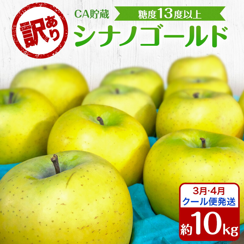 【ふるさと納税】りんご 【3月・4月クール便発送】 糖度13度以上 訳あり品 家庭用 CA貯蔵 シナノゴールド 約 10kg 【 青森りんご 果物 フルーツ デザート 食後 青森県産 産地直送 贈り物 】 お届け:2027年3月上旬~4月末