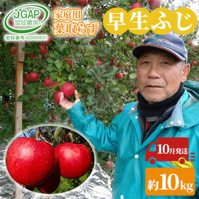 10月 家庭用 葉取らず 早生ふじ 約10kg お届け お歳暮