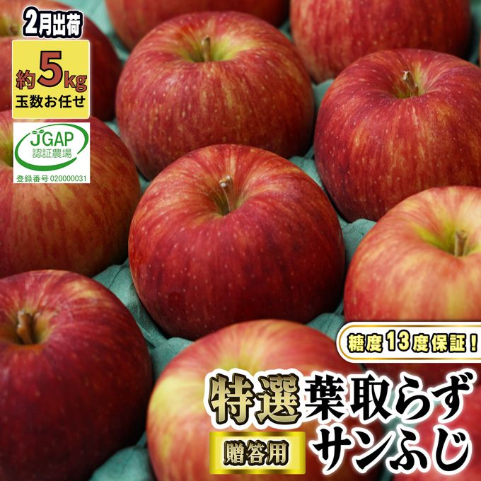 【ふるさと納税】鶴田町　25年2月寄附件数2位！ 2月発送【 糖度保証 】贈答用 葉取らず サンふじ 約 5kg 【 特選 】鶴翔りんごGAP部会 青森県産 津軽産 リンゴ 林檎 果物 JGAP認証 安心 丸かじり 甘い 高糖度 ギフト 　お届け：2027年2月1日～2027年2月25日