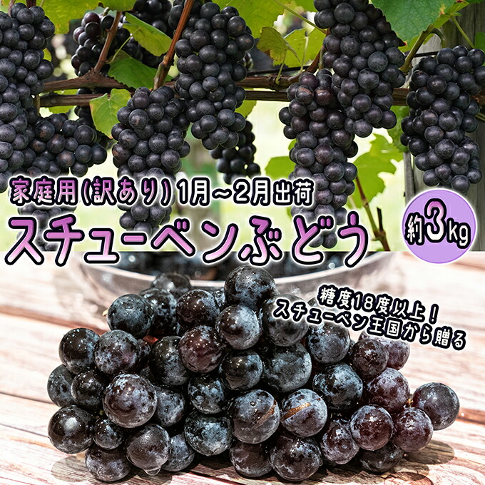 【ふるさと納税】1～2月 津軽ぶどう村 秀品 スチューベン ぶどう 約 3kg  訳あり 家庭用 【 青森ぶどう 青森県鶴田町産 11月 12月 果物 フルーツ ポリフェノール 甘い 高糖度 美味しい 　お届け：2026年1月12日～2026年2月10日