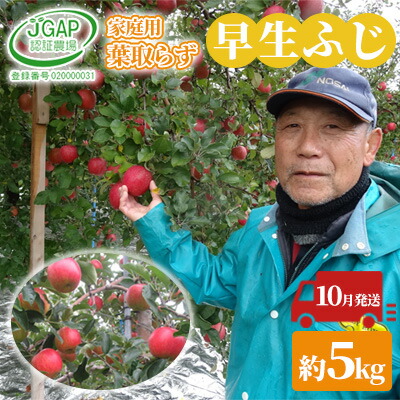10月 家庭用 葉取らず 早生ふじ 約5kg お届け