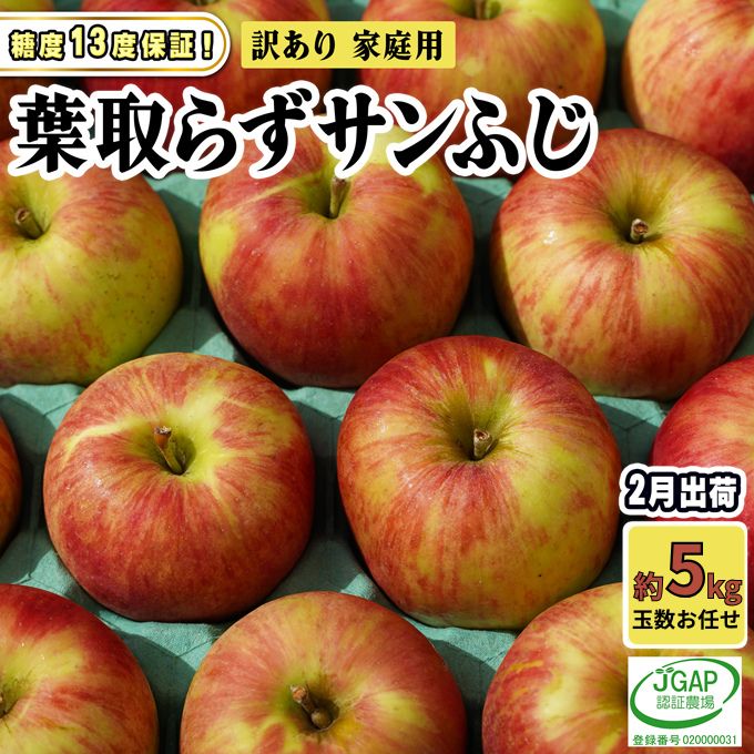 【ふるさと納税】 2月発送【 糖度保証 】家庭用 葉取らず サンふじ 約 5kg【 訳あり 】鶴翔りんごGAP部会 青森県産 津軽産 リンゴ 林檎 果物 フルーツ デザート 甘味　お届け：2027年2月1日～2027年2月25日｜青森県鶴田町 9,880円