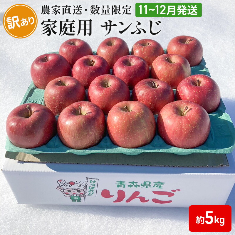【ふるさと納税】【農家直送・数量限定】 11～12月発送 家庭用 サンふじ 約5kg 【訳あり】  果物 フルーツ 青森りんご シャキシャキ 　お届け：2025年11月中旬～2025年12月中旬まで