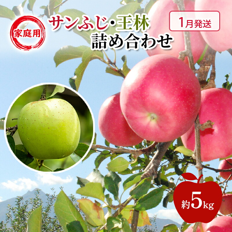 【ふるさと納税】りんご 【 1月発送 】 家庭用 サンふじ ・ 王林 詰め合わせ 約 5kg　お届け：2026年1月6日～2026年1月30日