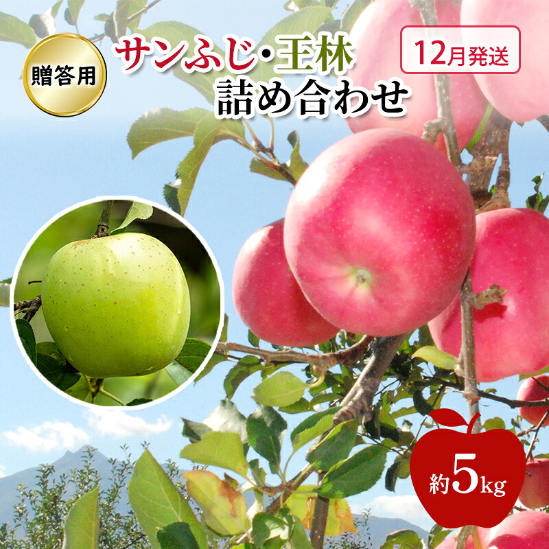 【ふるさと納税】りんご 【 12月発送 】 糖度13度～贈答用 サンふじ ・ 王林 詰め合わせ 約 5kg　お届け：2026年12月1日～2026年12月31日｜青森県鶴田町