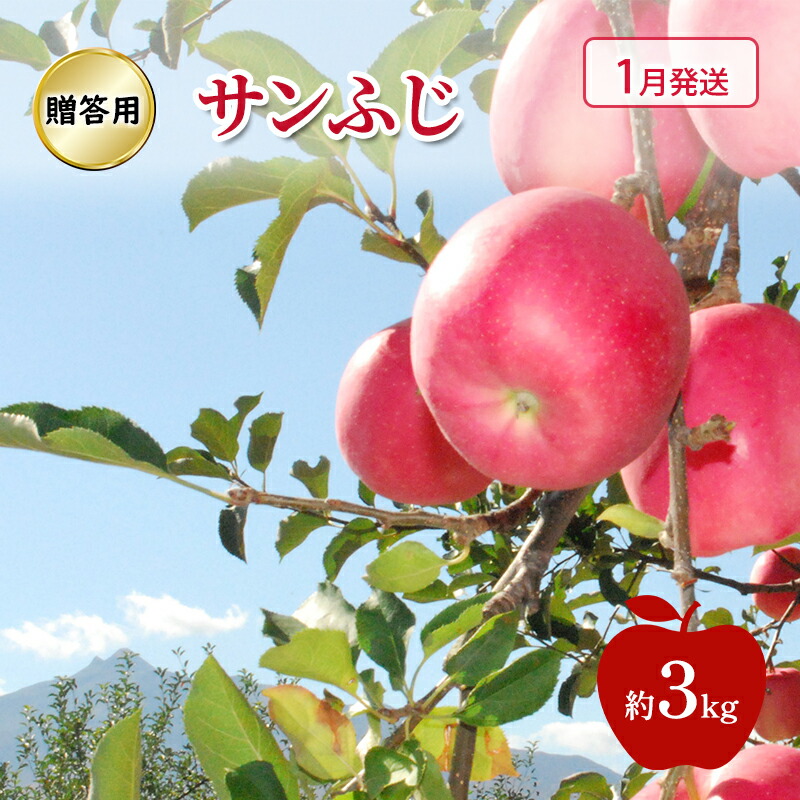 【ふるさと納税】りんご 【 1月発送 】 贈答用 サンふじ 約 3kg　お届け：2026年1月6日～2026年1月30日