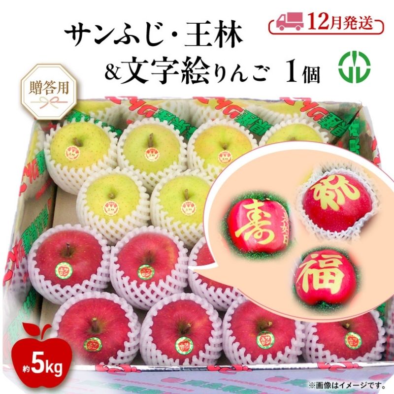 【ふるさと納税】りんご 【 12月発送 】 贈答用 サンふじ ・ 王林 ＋ 文字絵入りりんご1個 約 5kg　お届け：2026年12月1日～2026年12月31日