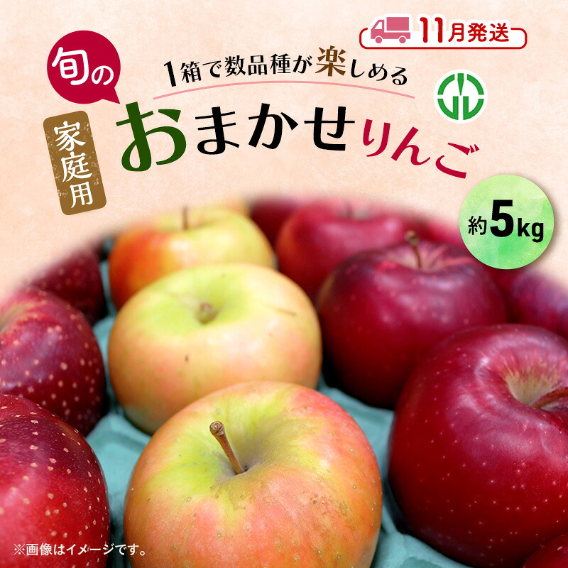 【ふるさと納税】りんご 【 11月発送 】 家庭用 旬のりんご 品種おまかせ 約 5kg 2品種～4品種 果物類 フルーツ 林檎 リンゴ 鶴田町 青森県 おやつ デザート　お届け：2026年11月1日～2026年11月30日｜青森県鶴田町 13,140円
