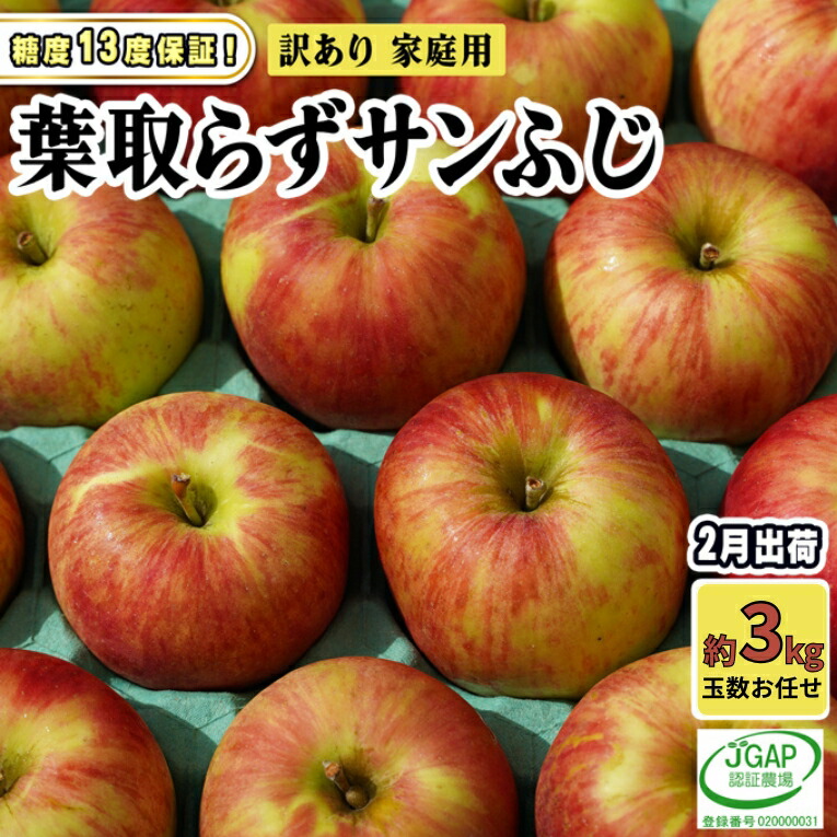 【ふるさと納税】2月発送【 糖度保証 】家庭用 葉取らず サンふじ 約 3kg【 訳あり 】鶴翔りんごGAP部会 青森県産 津軽産 リンゴ 林檎 果物 フルーツ デザート 甘味　お届け：2027年2月1日～2027年2月25日 7,500円