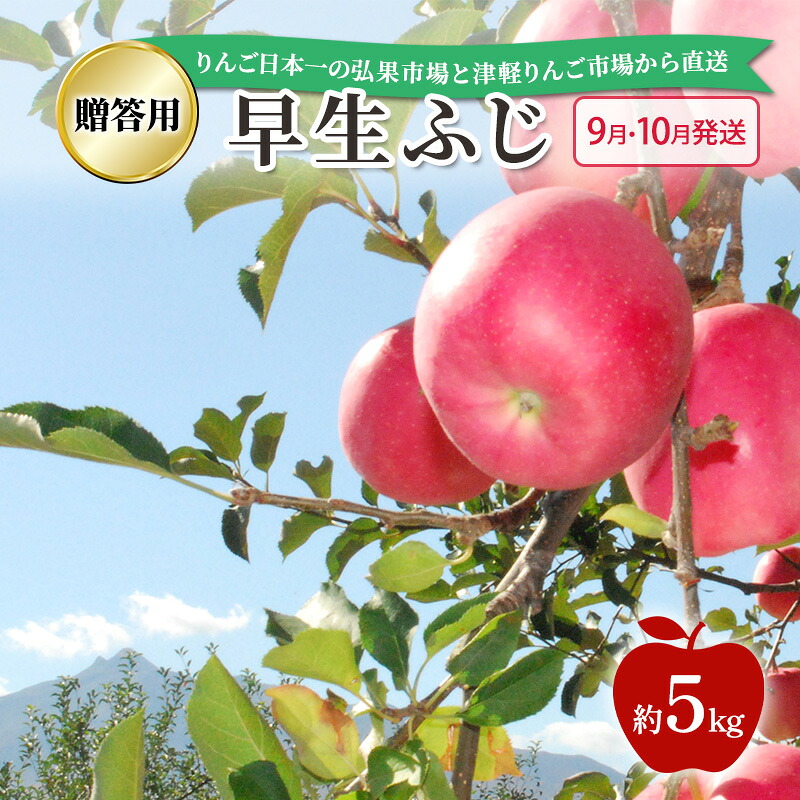 【ふるさと納税】【 9月・10月発送 】 贈答用 早生ふじ 約 5kg 【 青森県鶴田町産 りんご 青森りんご 】果物類 フルーツ 林檎 リンゴ 鶴田町 青森県 おやつ デザート　お届け：2026年10月1日～2026年10月31日