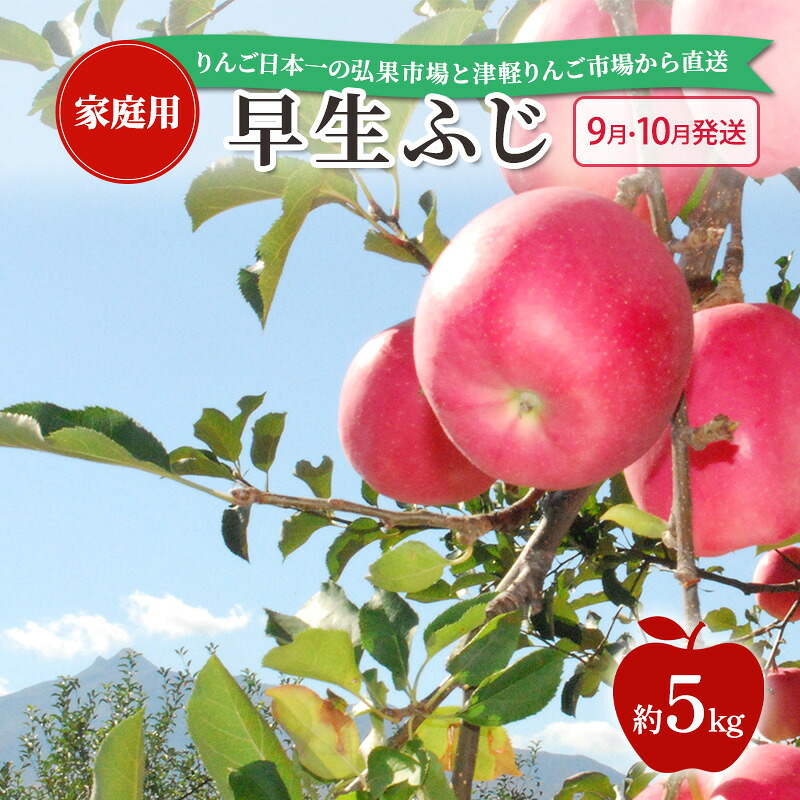 【ふるさと納税】【 9月・10月発送 】 家庭用 早生ふじ 約 5kg 【 青森県鶴田町産 りんご 青森りんご 】果物類 フルーツ 林檎 リンゴ 鶴田町 青森県 おやつ デザート　お届け：2026年10月1日～2026年10月31日