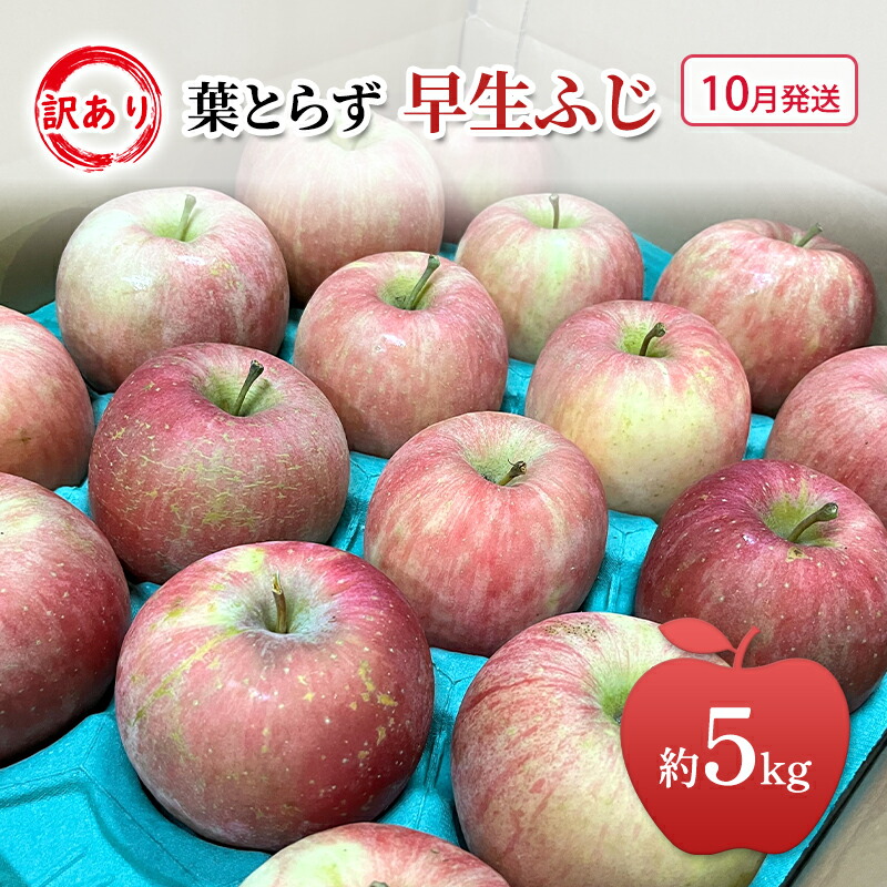 【ふるさと納税】【平均糖度12度以上】10月発送 家庭用 訳あり 早生ふじ 約 5kg りんご リンゴ 林檎 果物 フルーツ わけあり 青森 お届け:2026年10月1日~2026年10月20日