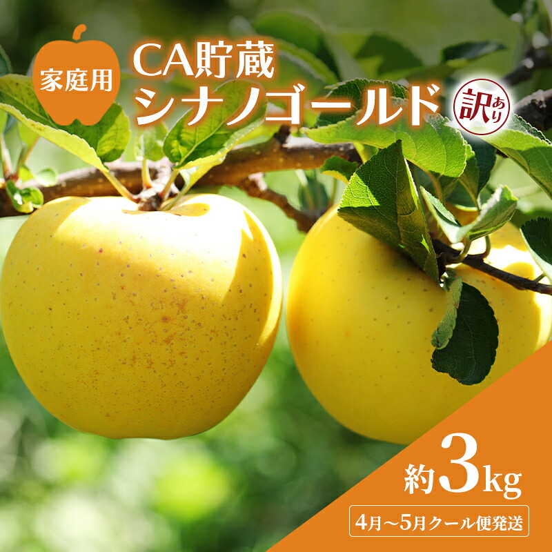 【ふるさと納税】【平均糖度12度以上】4月～5月 クール便発送 家庭用 訳あり CA貯蔵 シナノゴールド 約 3kg りんご リンゴ 林檎 果物 フルーツ わけあり 青森　お届け：2027年4月20日～2027年5月20日