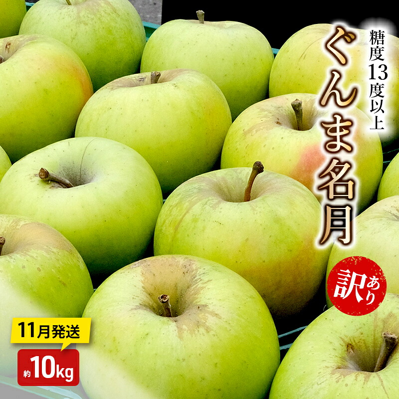【ふるさと納税】りんご【11月発送】糖度13度以上 訳あり 家庭用 ぐんま名月 約10kg【青森りんご】　お届け：2026年11月1日頃～2026年11月30日