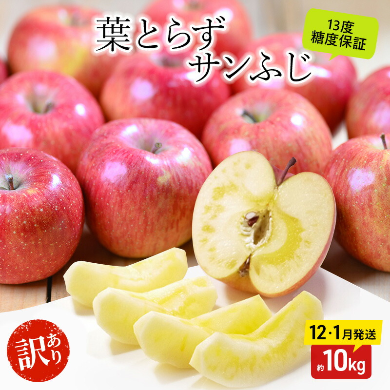 【ふるさと納税】りんご【12月・1月発送】蜜入り 糖度13度以上 訳あり 家庭用 葉とらず サンふじ 約10kg【青森りんご 果物 フルーツ デザート 食後 おやつ 産地直送】　お届け：2026年12月1日頃～2026年12月25日、2026年1月5日頃～2027年1月15日