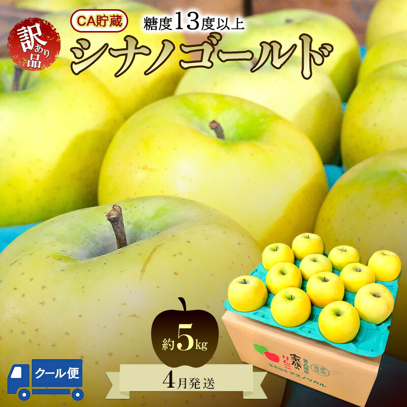 【ふるさと納税】りんご【4月クール便発送】平均糖度13度以上 訳あり品 家庭用 CA貯蔵 シナノゴールド 約5kg【青森りんご 果物 フルーツ デザート 食後 青森県産 産地直送 贈り物】　お届け：2027年4月上旬～2027年4月下旬まで