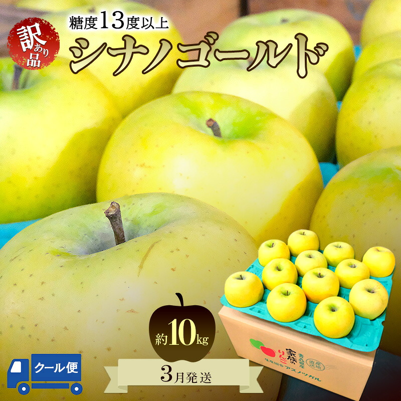 【ふるさと納税】りんご【3月クール便発送】糖度13度以上 訳あり品 家庭用 シナノゴールド約10kg【青森りんご 果物 フルーツ デザート 食後 青森県産 産地直送 贈り物】　お届け：2027年3月上旬～2027年3月下旬