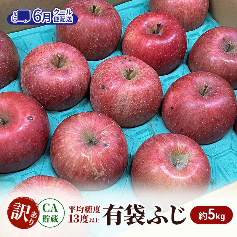 【ふるさと納税】【6月 クール便配送】雪国鮮度をと閉じ込めた りんご 【糖度13度以上で選果】CA貯蔵 訳あり 有袋ふじ 約5kg リンゴ 果物 青森県 鶴田町　お届け：2026年6月1日～2026年6月26日 17,020円