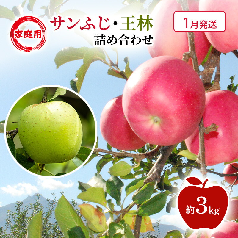 【ふるさと納税】【1月発送】家庭用 サンふじ・王林 詰め合わせ 約3kg 果物類 フルーツ 林檎 リンゴ 鶴田町 青森県 おやつ デザート　お届け：2027年1月上旬～2027年1月下旬｜青森県鶴田町