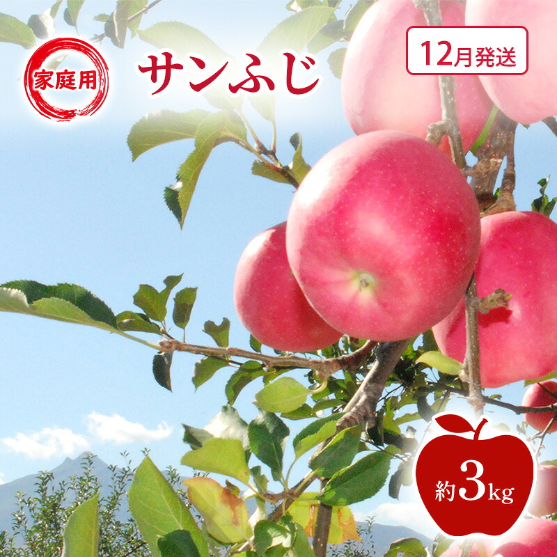 【ふるさと納税】【12月発送】家庭用 サンふじ 約3kg 果物類 フルーツ 林檎 リンゴ 鶴田町 青森県 おやつ デザート　お届け：2026年12月上旬～2026年12月下旬｜青森県鶴田町
