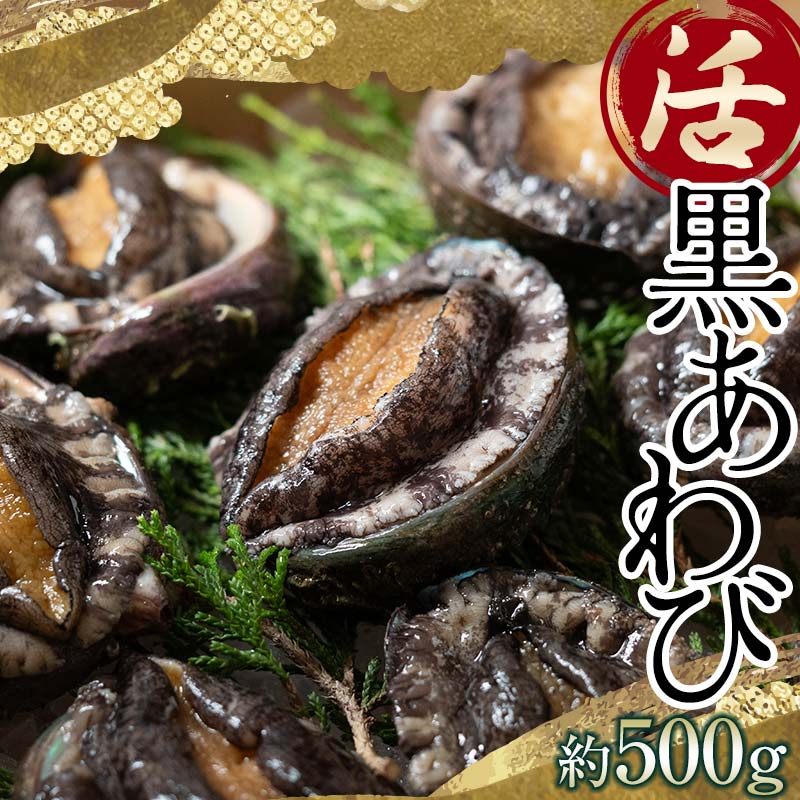 【ふるさと納税】中泊直送 天然 ”活” 黒あわび 約500g 【卓立水産】貝 海鮮 津軽海峡 活鮑 活あわび 活アワビ 黒鮑 黒アワビ アワビ 鮑 天然 産地直送 海産 魚貝 魚介 中泊町 青森  F6N-019