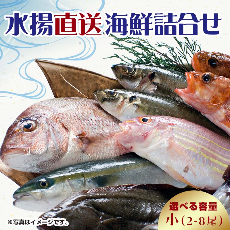 【ふるさと納税】中泊水揚直送 海鮮詰合せ 小 （2～8尾程度） ※下処理済み 【徐福の里物産品直売所】 旬 詰め合わせ 海鮮 ウスメバル メバル めばる ソイ カレイ ヒラメ 真鯛 タイ タコ ホッケ 中泊 青森県 F6N-025