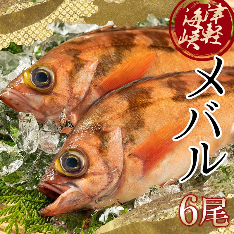 【楽天市場】【ふるさと納税】小泊港水揚げ 津軽海峡メバル 姿6尾 ※下処理済み 【卓立水産】魚 海鮮 ウスメバル メバル めばる 津軽海峡 1尾 丸ごと 津軽海峡 高級 海産物 刺身 煮付け 中泊町 青森  F6N-027：青森県中泊町