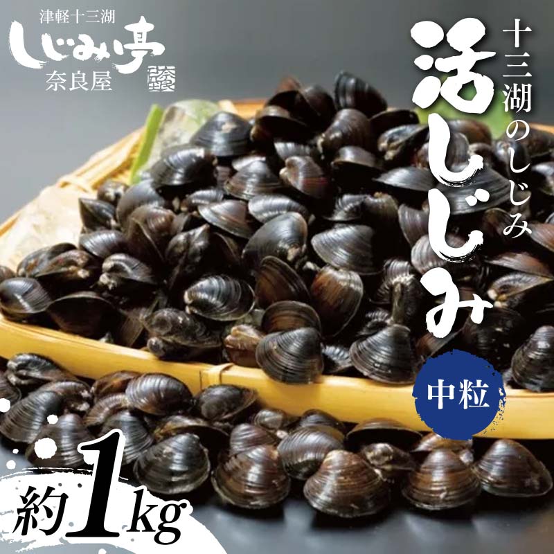 【ふるさと納税】 十三湖のしじみ 活しじみ 中粒 約1kg 【奈良屋】 蜆 シジミ 魚貝類 貝 オルニチン 十三 F6N-162 8,250円