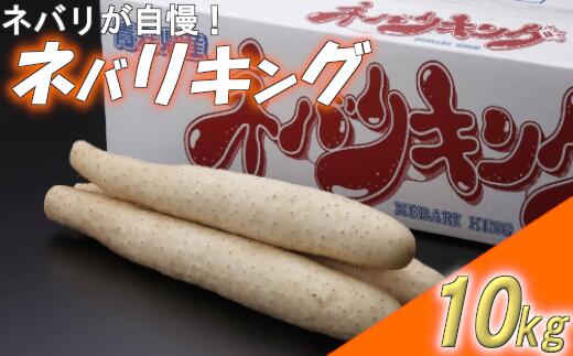 東北町産 ネバリキング 10kg # 長芋 東北町 山芋 やまいも 2L 青森県 ゆうき青森農業協同組合